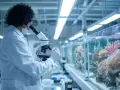 Chercheuse en blouse blanche examinant des coraux au microscope, dans le cadre de sa licence biologie marine.
