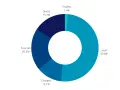 Répartition des dépenses aux Philippines : le loyer domine (50.6%), suivi des courses (20.2%). Le coût de la vie est influencé par ces postes.