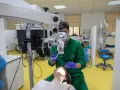 Un dentiste utilise un microscope dentaire à l'Egas Moniz de Lisbonne.