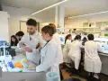 Des étudiants en blouse blanche travaillent dans un laboratoire de l'école vétérinaire de Porto, manipulant des pipettes et des éprouvettes.