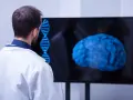 Un médecin observe un cerveau bleu et une double hélice sur un écran, signe d'une formation neuropsychologie à distance.