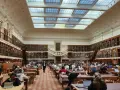 Vaste bibliothèque avec étudiants travaillant sur leurs ordinateurs portables, un décor idéal pour une licence science politique à distance.