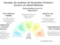 Modules de formation en santé mentale : plan d'action, compréhension des troubles, interventions et gestion des crises. Soutien à distance.