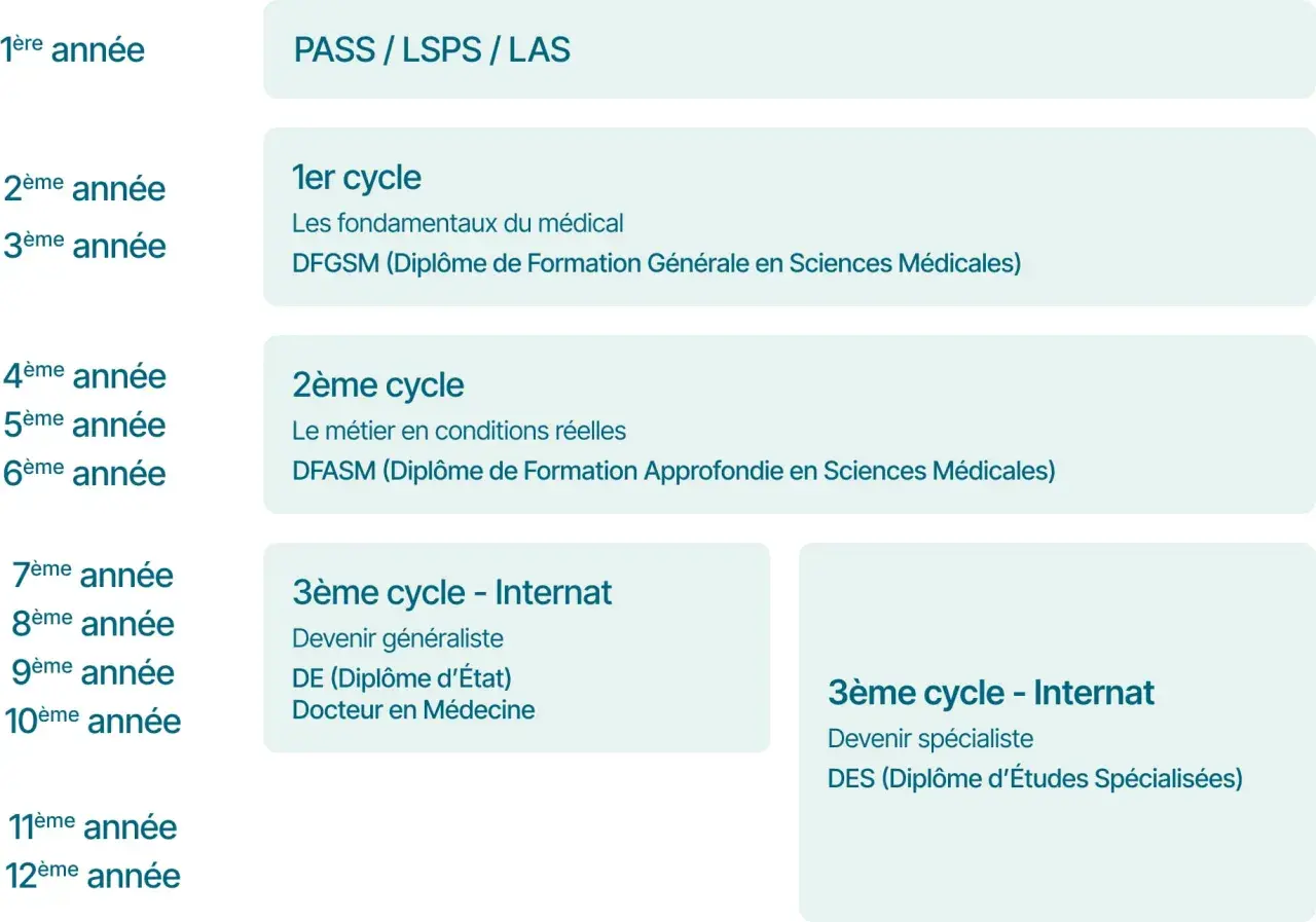 Schéma de l'étude de médecine en France, de la 1ère à la 12ème année, incluant les cycles PASS/LAS, 1er, 2ème et 3ème cycles (internat).