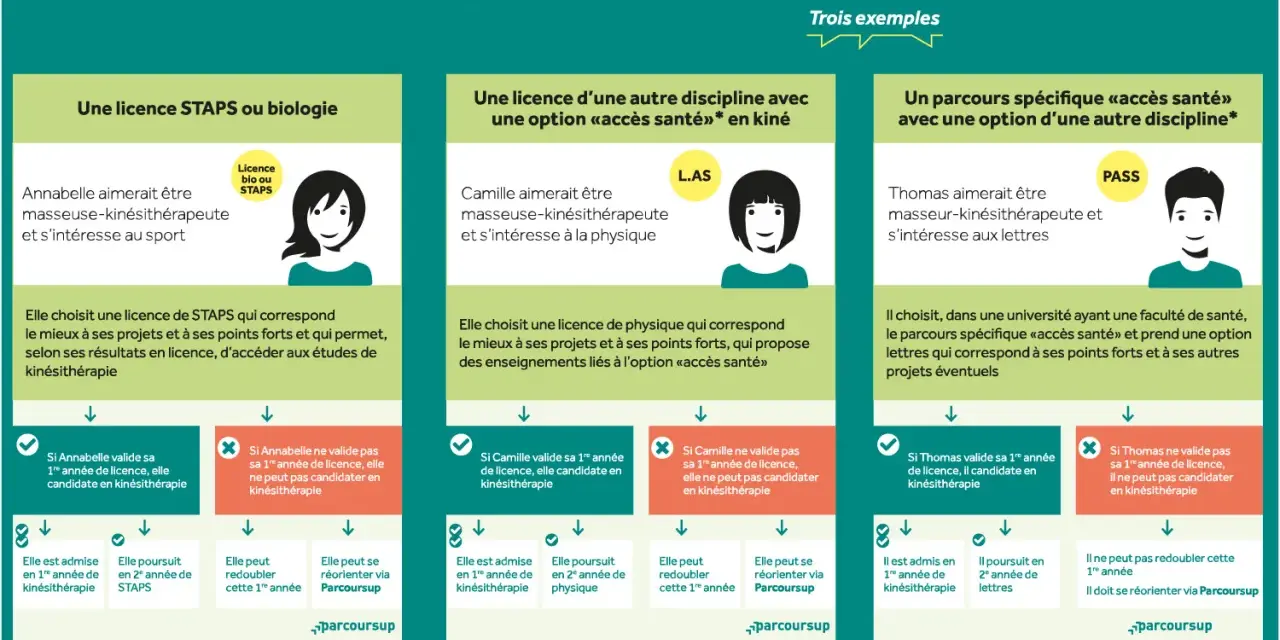 Schéma des parcours pour devenir kinésithérapeute : licence STAPS, L.AS ou parcours spécifique "accès santé".