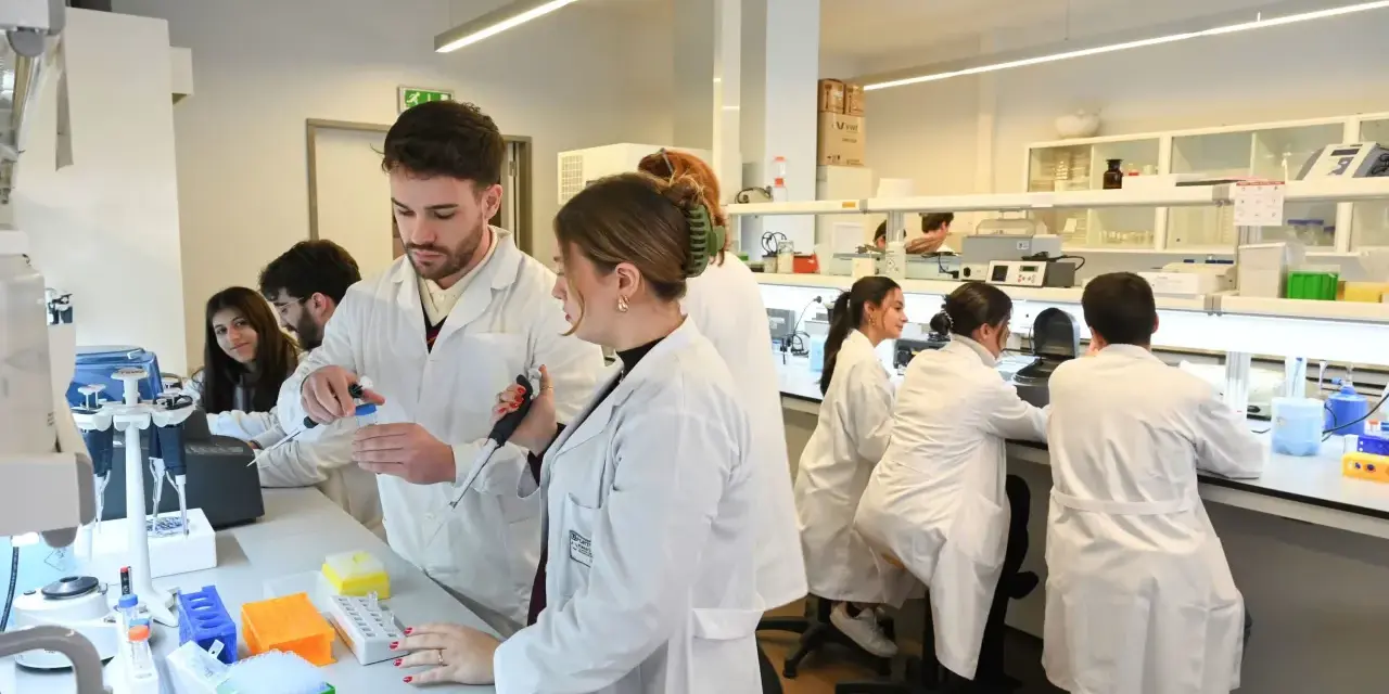 Des étudiants en blouse blanche travaillent dans un laboratoire de l'école vétérinaire de Porto, manipulant des pipettes et des éprouvettes.
