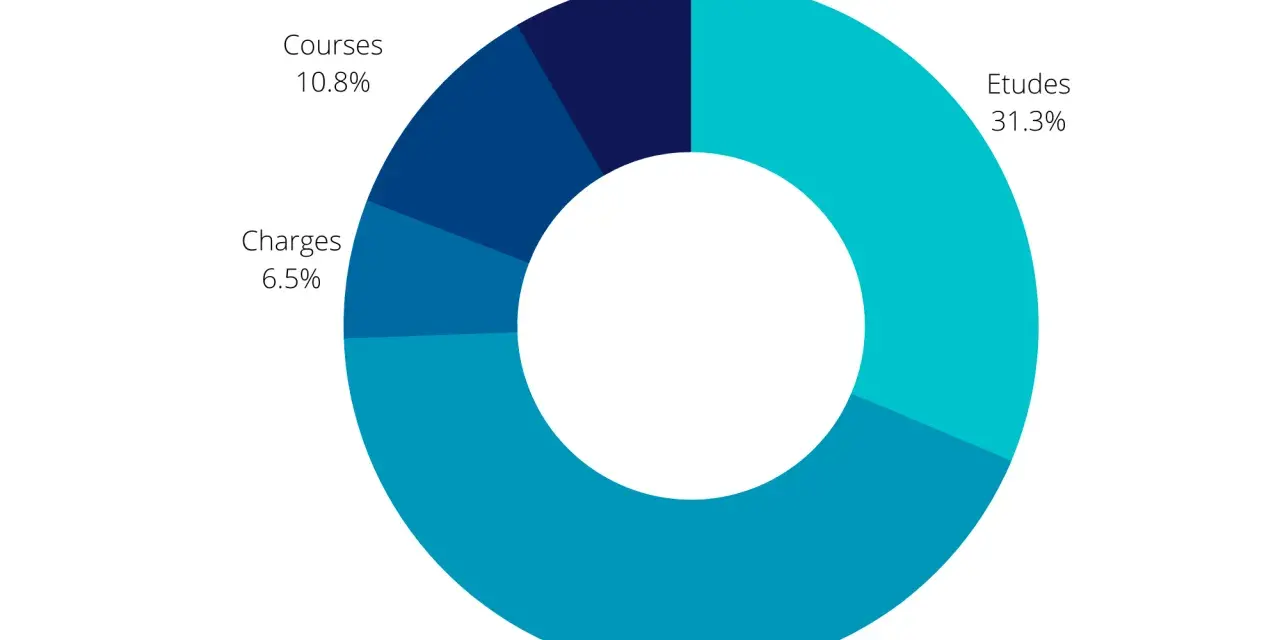 Répartition des dépenses en Hongrie : Loyer (43.1%), Études (31.3%), Courses (10.8%), Divers (8.3%), Charges (6.5%).