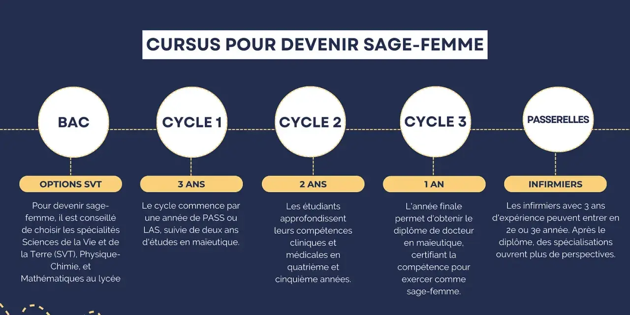 Schéma du cursus pour devenir sage-femme : BAC, 3 ans de cycle 1, 2 ans de cycle 2, 1 an de cycle 3. Combien d'années d'étude ? Au total, 6 ans minimum.