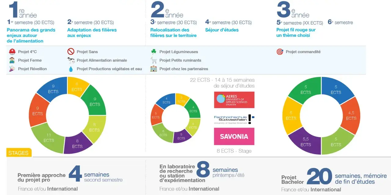Programme **bachelor environnement et développement durable** : 3 ans, projets, stages et séjours d'études pour comprendre les enjeux actuels.