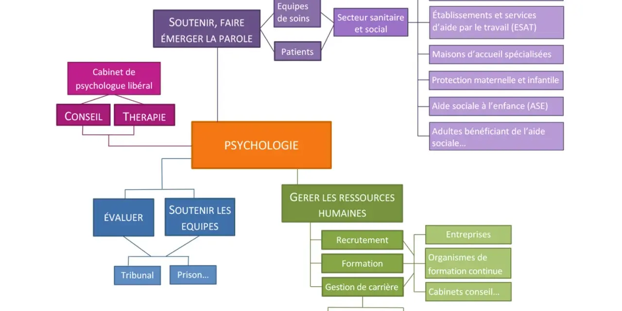 Schéma illustrant les divers domaines où l'on peut étudier la psychologie : du soutien aux patients et équipes, à la gestion des ressources humaines, en passant par les structures sanitaires et sociales.