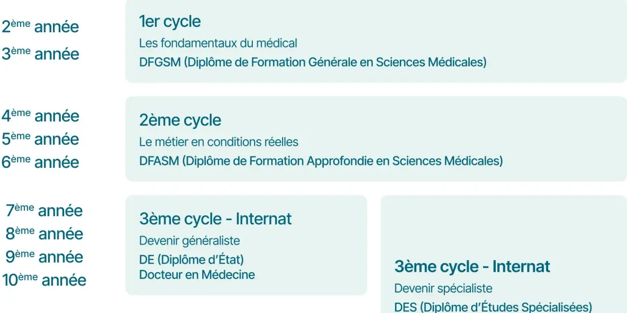 Schéma de l'étude de médecine en France, de la 1ère à la 12ème année, incluant les cycles PASS/LAS, 1er, 2ème et 3ème cycles (internat).