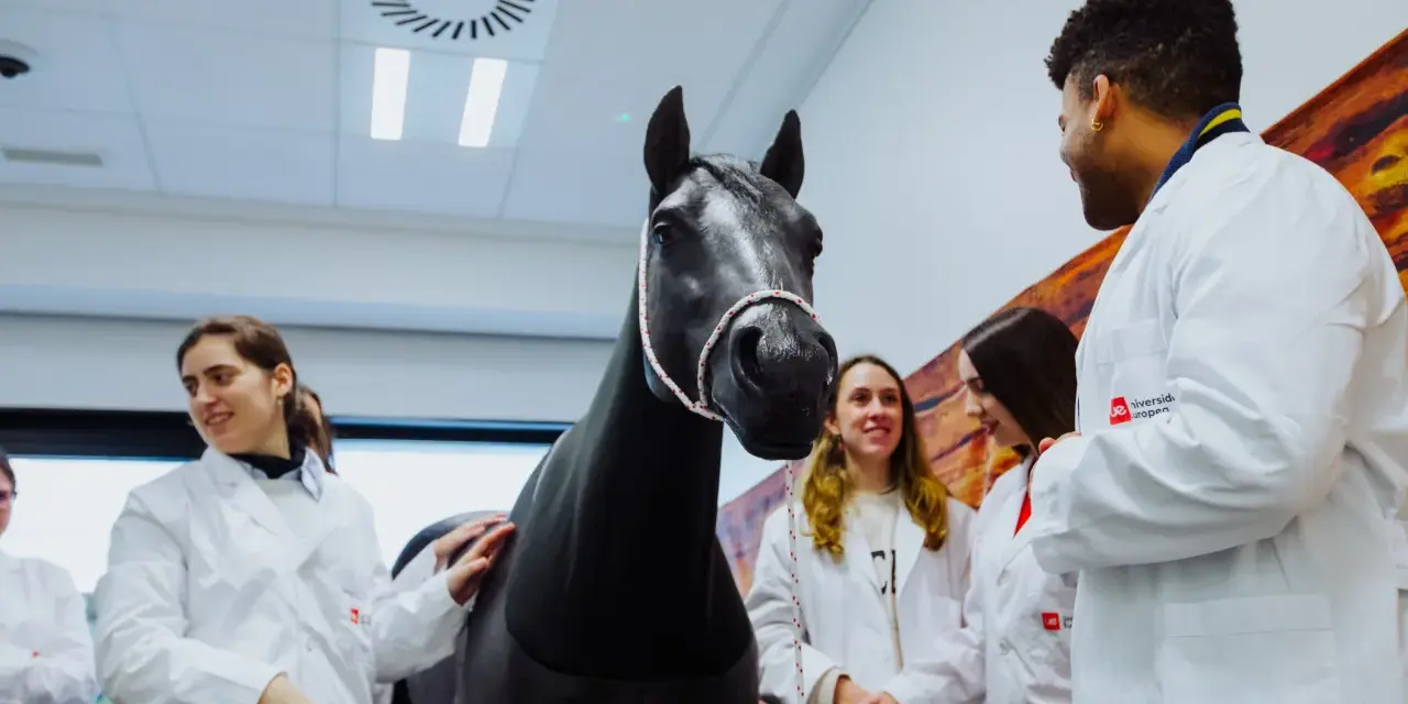 Des étudiants en blouse blanche observent un cheval noir dans une salle de l'école vétérinaire de Madrid.