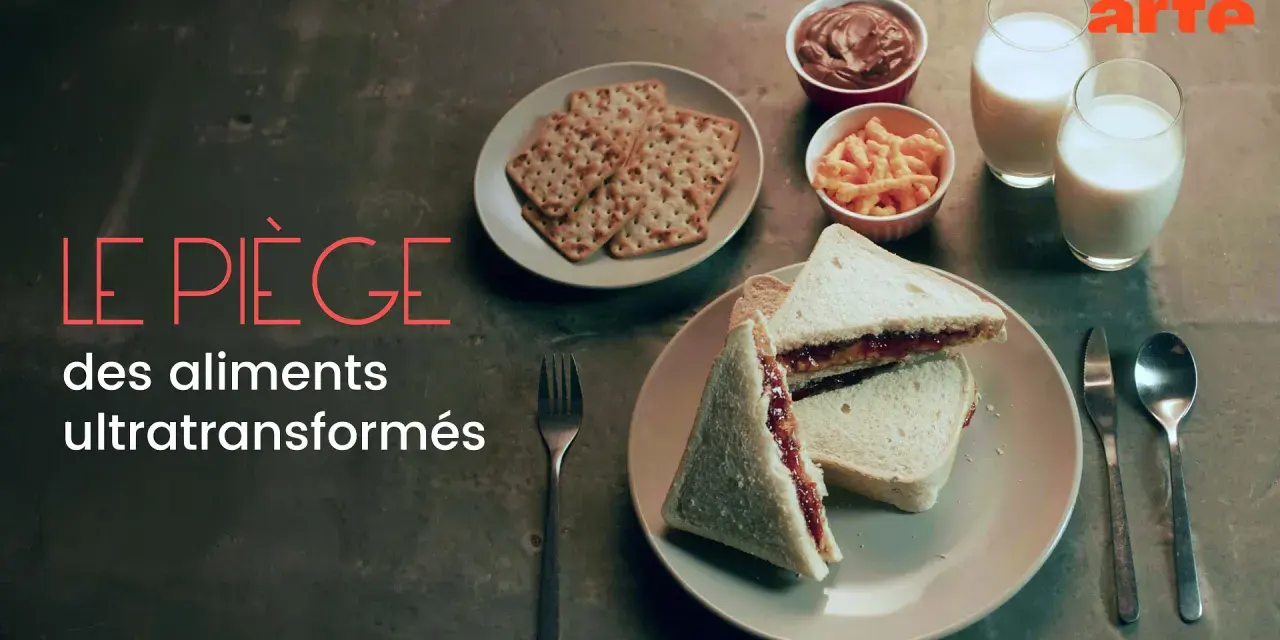 Le piège des aliments ultratransformés : un cours de nutrition et diététique gratuit pour comprendre les dangers de ces produits.