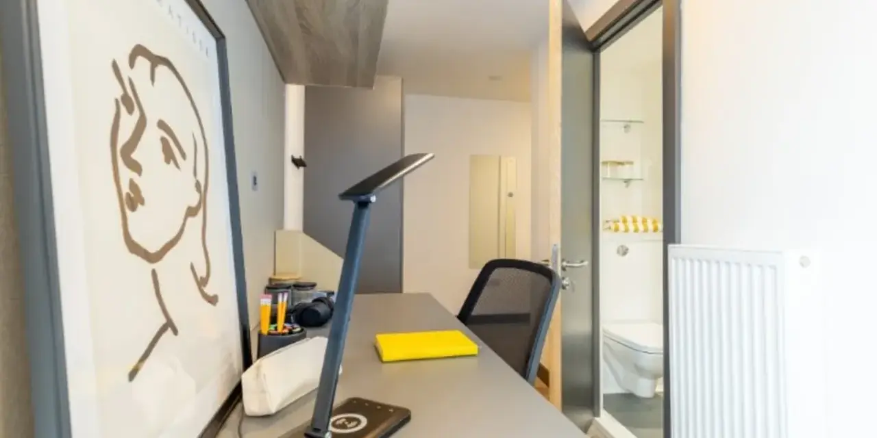 Bureau d'un logement étudiant à Cork, avec un tableau, une lampe, une chaise et une porte ouverte sur une salle de bain.