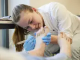 Étudiante en podologie en Belgique, elle soigne un pied avec soin.