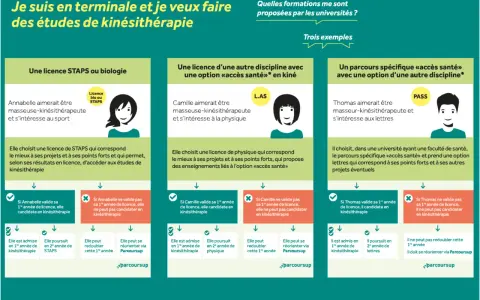 Schéma des parcours pour devenir kinésithérapeute : licence STAPS, L.AS ou parcours spécifique "accès santé".