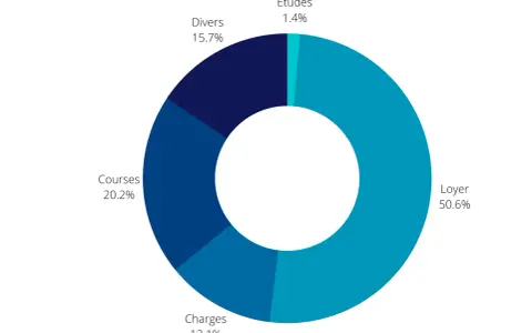 Répartition des dépenses aux Philippines : le loyer domine (50.6%), suivi des courses (20.2%). Le coût de la vie est influencé par ces postes.