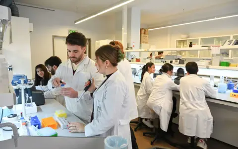 Des étudiants en blouse blanche travaillent dans un laboratoire de l'école vétérinaire de Porto, manipulant des pipettes et des éprouvettes.