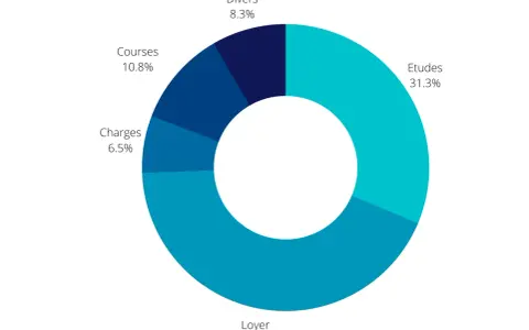 Répartition des dépenses en Hongrie : Loyer (43.1%), Études (31.3%), Courses (10.8%), Divers (8.3%), Charges (6.5%).