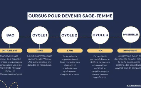 Schéma du cursus pour devenir sage-femme : BAC, 3 ans de cycle 1, 2 ans de cycle 2, 1 an de cycle 3. Combien d'années d'étude ? Au total, 6 ans minimum.