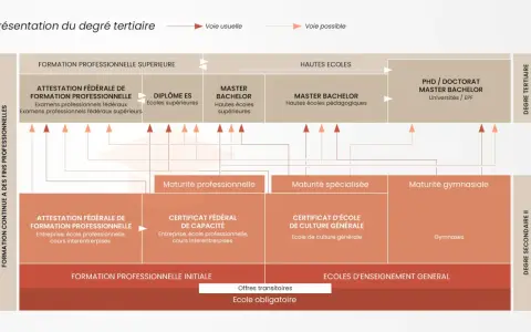 Schéma des études supérieures en Suisse, montrant les parcours de formation professionnelle et générale, de l'école obligatoire au doctorat.