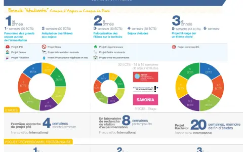 Programme **bachelor environnement et développement durable** : 3 ans, projets, stages et séjours d'études pour comprendre les enjeux actuels.