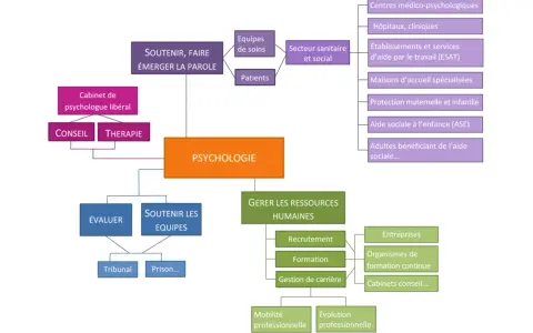 Schéma illustrant les divers domaines où l'on peut étudier la psychologie : du soutien aux patients et équipes, à la gestion des ressources humaines, en passant par les structures sanitaires et sociales.