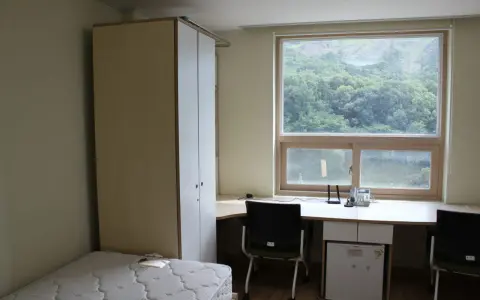 Chambre simple pour un logement étudiant à Séoul, avec un lit, une armoire, un bureau avec mini-frigo et une vue sur la verdure.