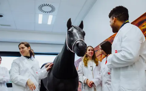 Des étudiants en blouse blanche observent un cheval noir dans une salle de l'école vétérinaire de Madrid.