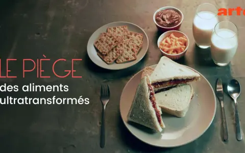Le piège des aliments ultratransformés : un cours de nutrition et diététique gratuit pour comprendre les dangers de ces produits.