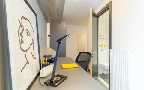 Bureau d'un logement étudiant à Cork, avec un tableau, une lampe, une chaise et une porte ouverte sur une salle de bain.