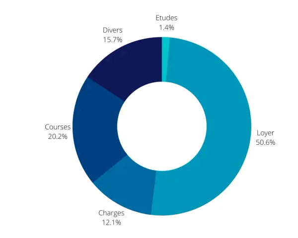 Répartition des dépenses aux Philippines : le loyer domine (50.6%), suivi des courses (20.2%). Le coût de la vie est influencé par ces postes.