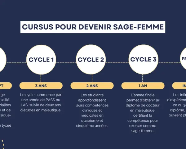 Schéma du cursus pour devenir sage-femme : BAC, 3 ans de cycle 1, 2 ans de cycle 2, 1 an de cycle 3. Combien d'années d'étude ? Au total, 6 ans minimum.