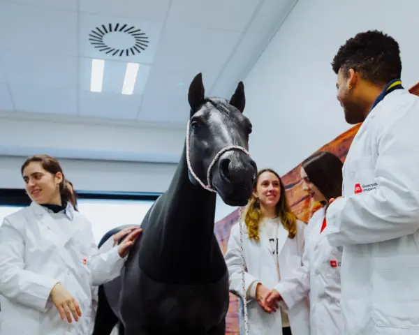 Des étudiants en blouse blanche observent un cheval noir dans une salle de l'école vétérinaire de Madrid.