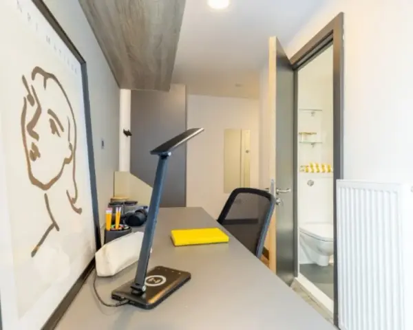 Bureau d'un logement étudiant à Cork, avec un tableau, une lampe, une chaise et une porte ouverte sur une salle de bain.