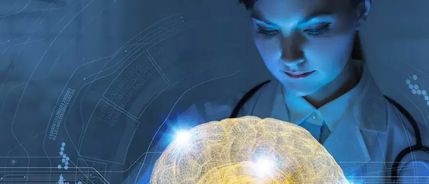 Étudiante en 1ère année médecine à distance, elle analyse un cerveau numérique.
