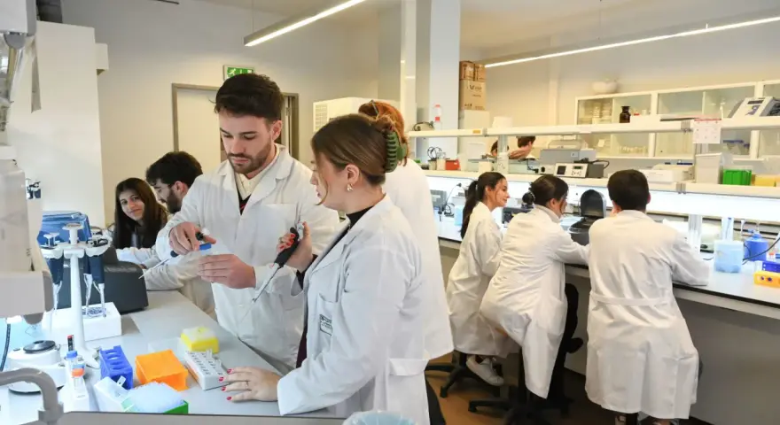 Des étudiants en blouse blanche travaillent dans un laboratoire de l'école vétérinaire de Porto, manipulant des pipettes et des éprouvettes.