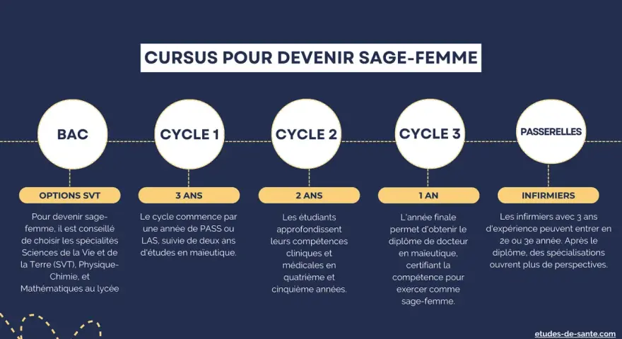 Schéma du cursus pour devenir sage-femme : BAC, 3 ans de cycle 1, 2 ans de cycle 2, 1 an de cycle 3. Combien d'années d'étude ? Au total, 6 ans minimum.