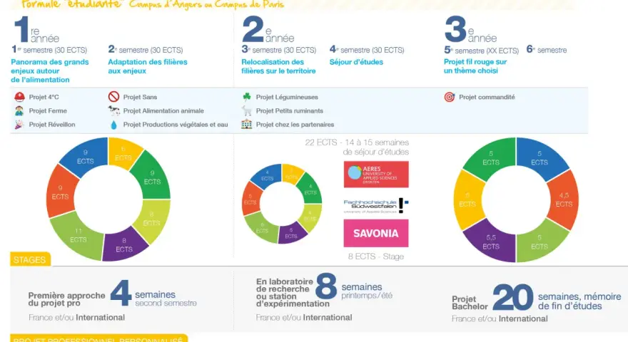 Programme **bachelor environnement et développement durable** : 3 ans, projets, stages et séjours d'études pour comprendre les enjeux actuels.