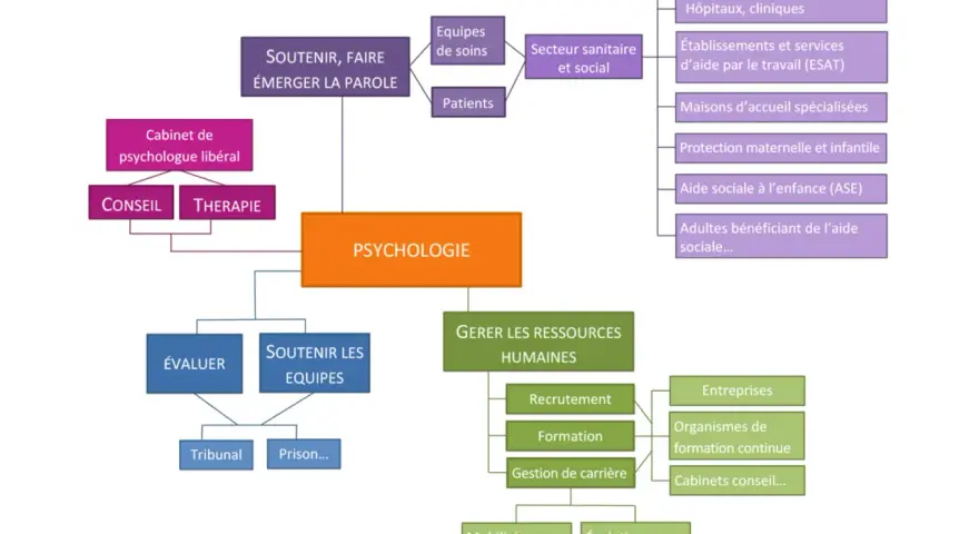 Schéma illustrant les divers domaines où l'on peut étudier la psychologie : du soutien aux patients et équipes, à la gestion des ressources humaines, en passant par les structures sanitaires et sociales.