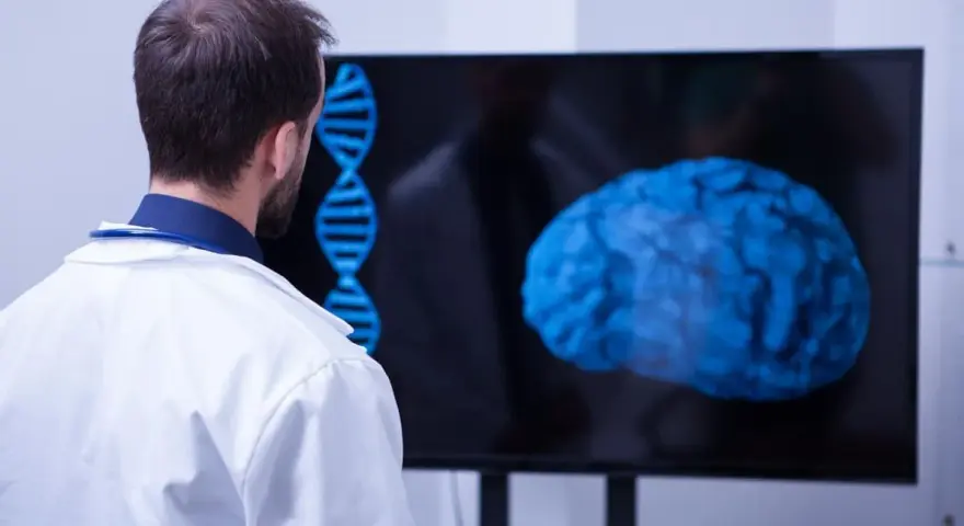 Un médecin observe un cerveau bleu et une double hélice sur un écran, signe d'une formation neuropsychologie à distance.