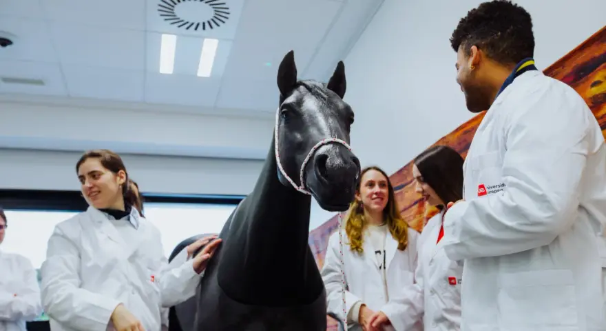 Des étudiants en blouse blanche observent un cheval noir dans une salle de l'école vétérinaire de Madrid.
