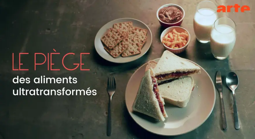 Le piège des aliments ultratransformés : un cours de nutrition et diététique gratuit pour comprendre les dangers de ces produits.
