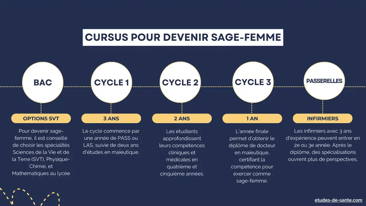 Schéma du cursus pour devenir sage-femme : BAC, Cycle 1 (3 ans), Cycle 2 (2 ans), Cycle 3 (1 an) et passerelles infirmiers. Le parcours totalise 6 ans d'études.