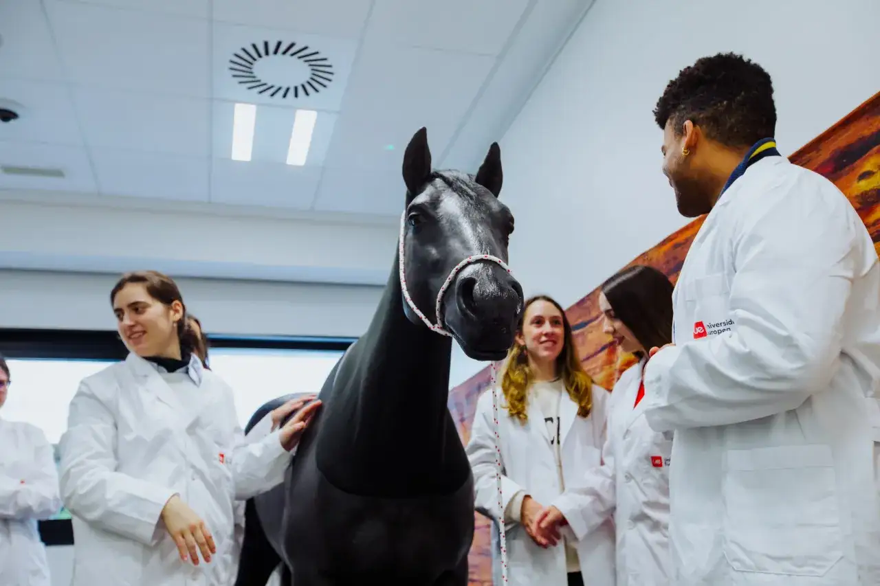 Des étudiants en blouse blanche apprennent à soigner un cheval dans une école vétérinaire à l'étranger.