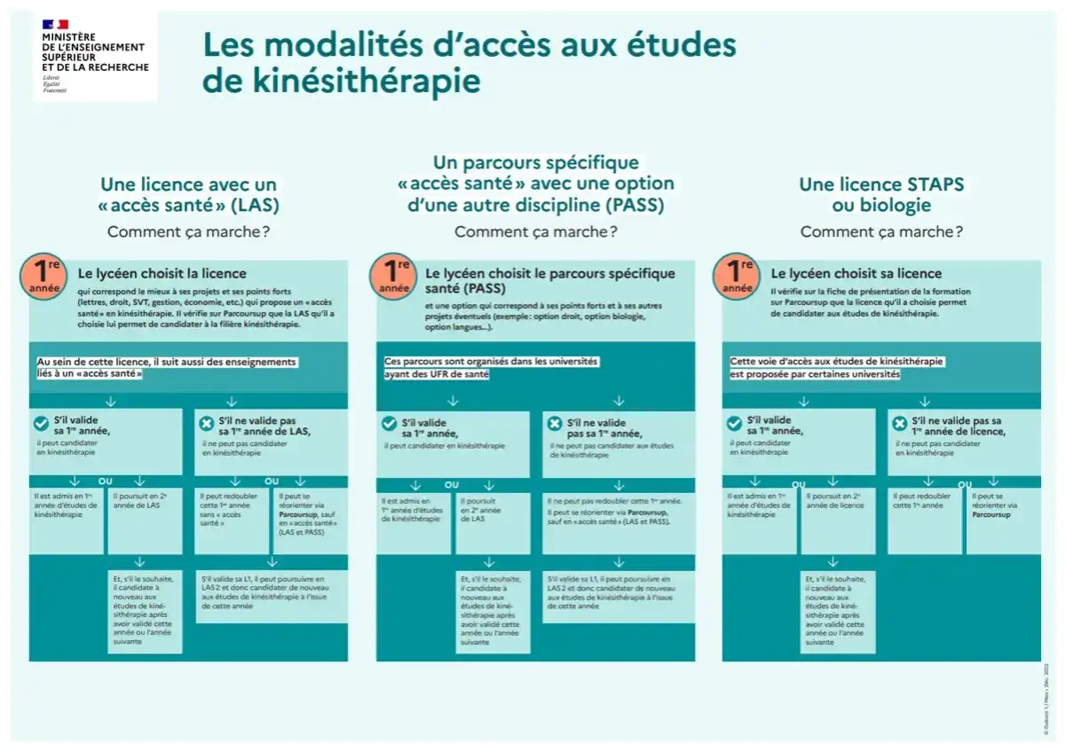 Sch&eacute;ma des modalit&eacute;s d'acc&egrave;s aux &eacute;tudes de kin&eacute;sith&eacute;rapie : licence avec acc&egrave;s sant&eacute; (LAS), parcours sp&eacute;cifique sant&eacute; (PASS) ou licence STAPS/biologie. Une voie vers une &eacute;cole de kin&eacute; gratuite.