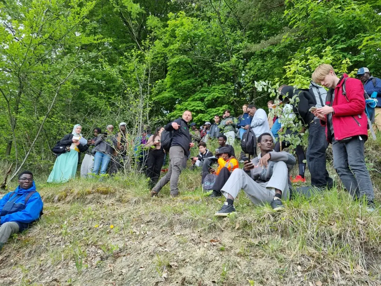 Un groupe d'étudiants en bachelor environnement et développement durable explore une forêt verdoyante, certains assis, d'autres debout, absorbés par leurs téléphones ou écoutant un guide.