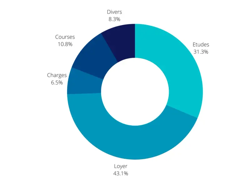Répartition des dépenses en Hongrie : Loyer (43.1%), Études (31.3%), Courses (10.8%), Divers (8.3%), Charges (6.5%).